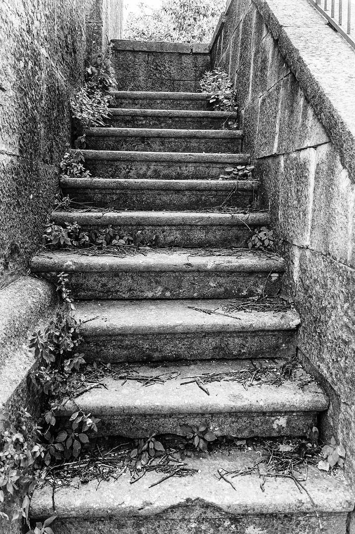 Treppe