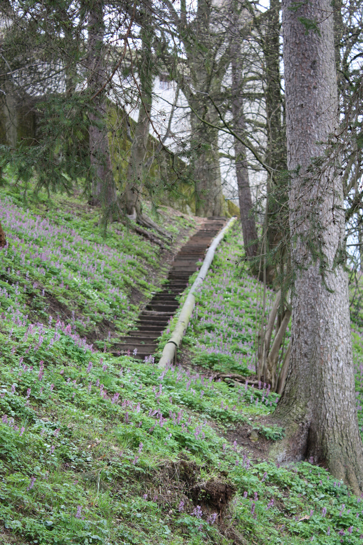 Treppe