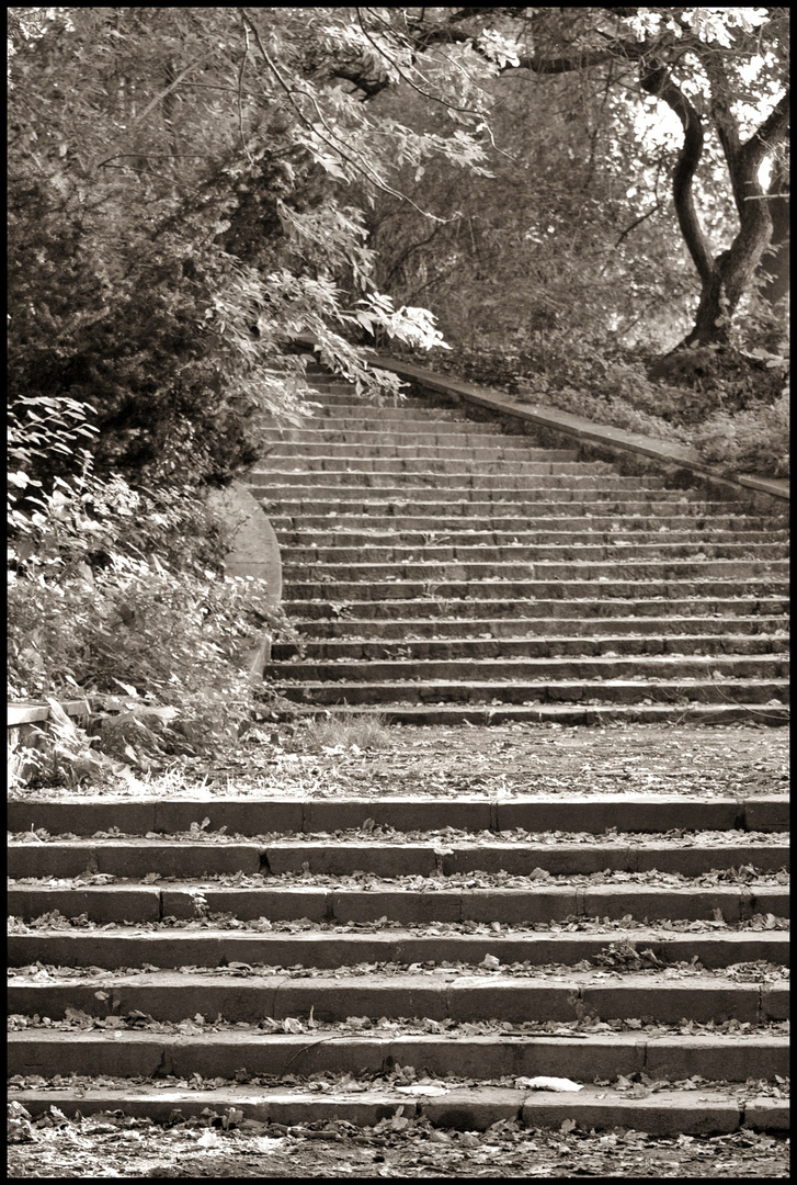 Treppe