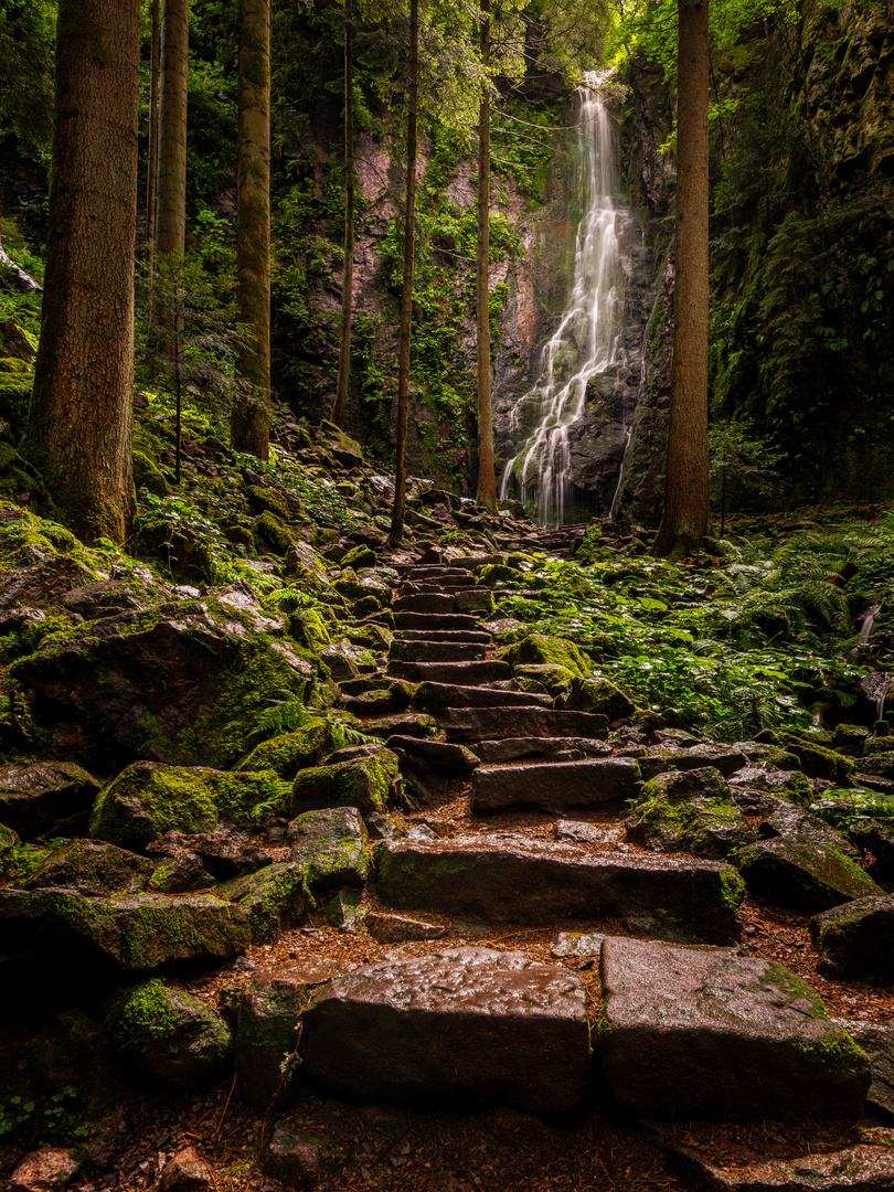 Treppe hoch zum Burgbachwasserfall im Schwarzwald