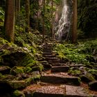 Treppe hoch zum Burgbachwasserfall im Schwarzwald