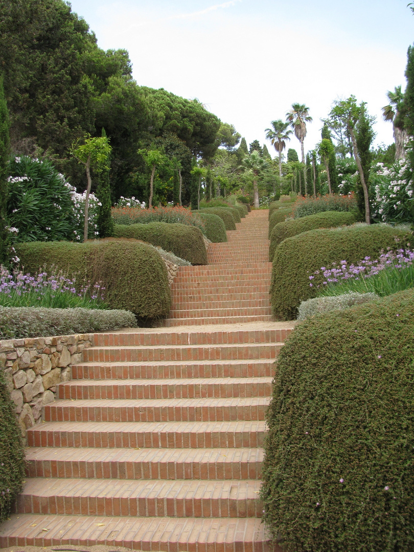 Treppe im bot.garten