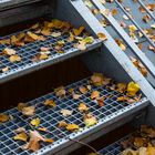 Treppe im Herbst