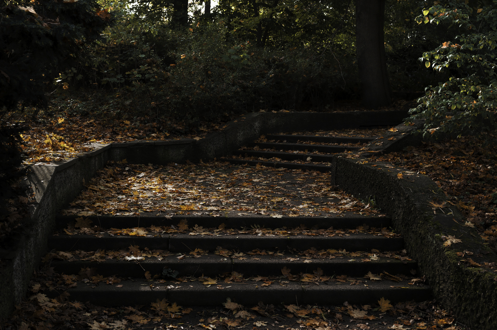 Treppe im Herbst