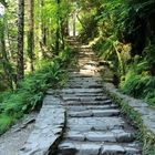 Treppe im Killarney National Park, Irland