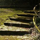 Treppe im Klostergarten