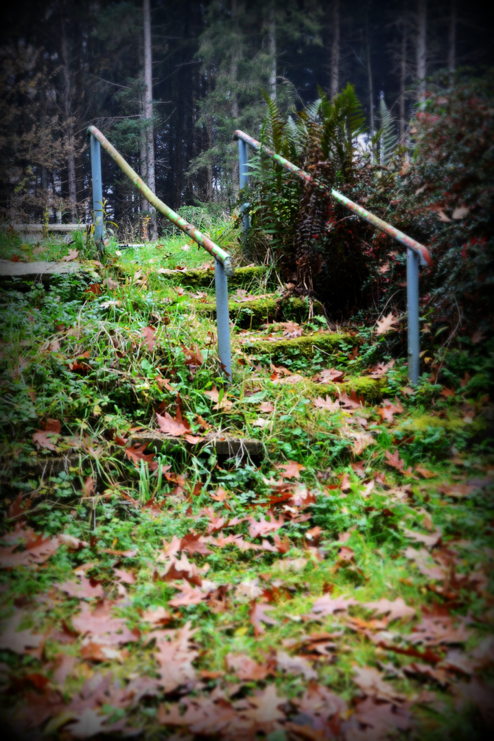 Treppe im Laub