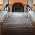 Treppe im Museum Stettin 