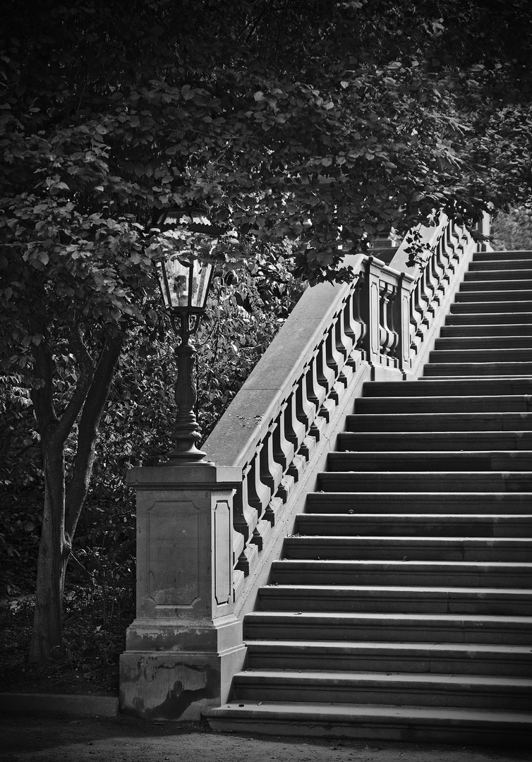 Treppe im Park (reloaded)