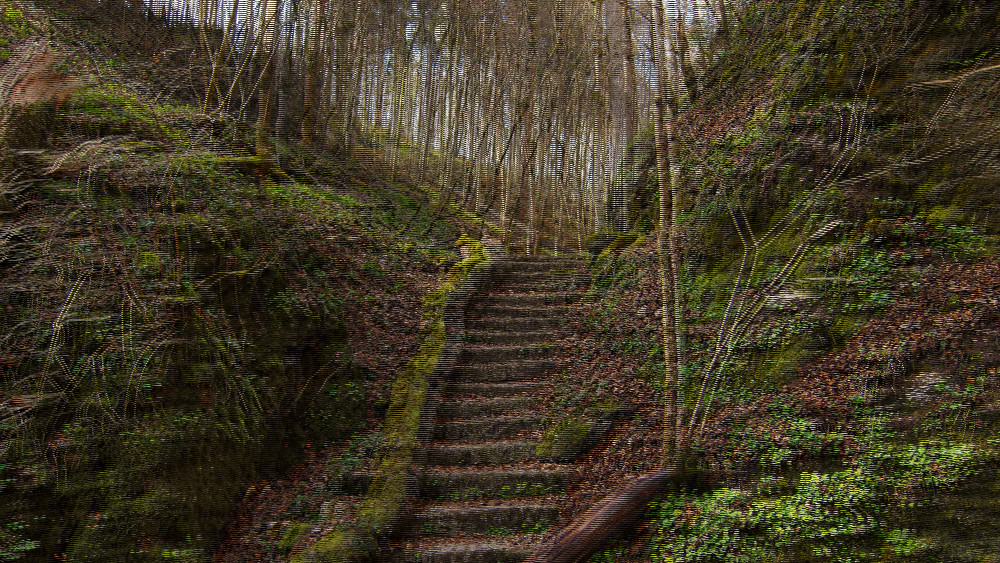 Treppe im (sehr) Grünen