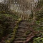 Treppe im (sehr) Grünen