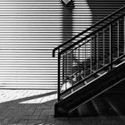 Treppe [im und mit Schatten]