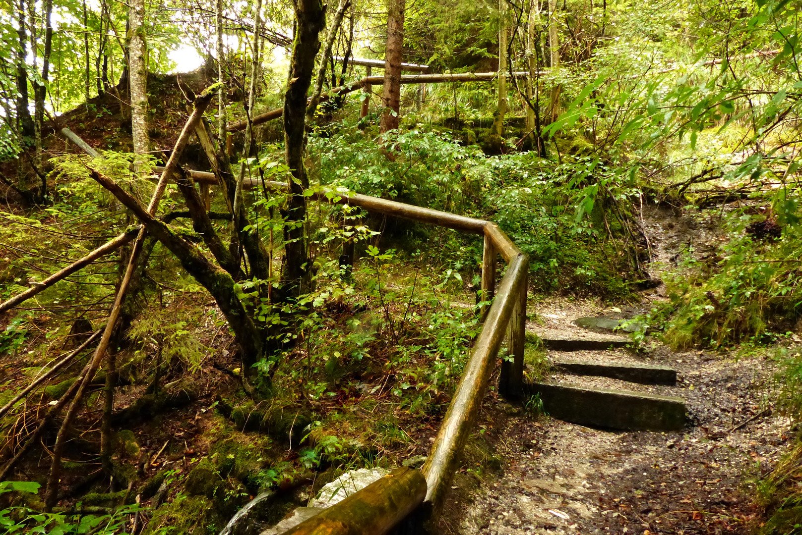 ***Treppe im Wald***