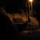 Treppe im Wald