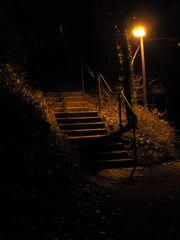 Treppe im Wald