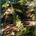 Treppe im Wald