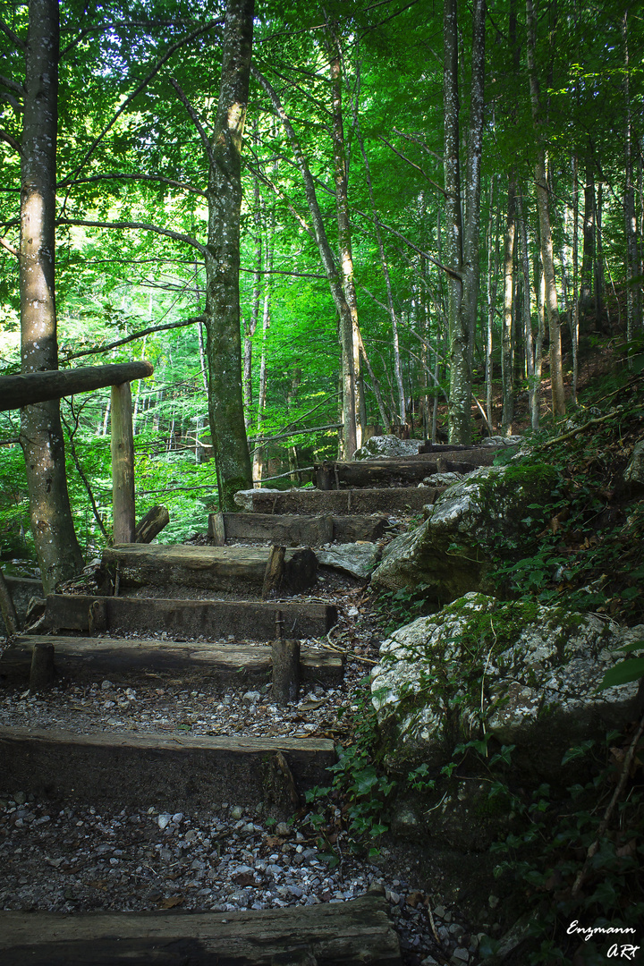 Treppe im Wald am Lainbach
