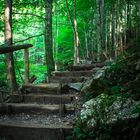 Treppe im Wald am Lainbach