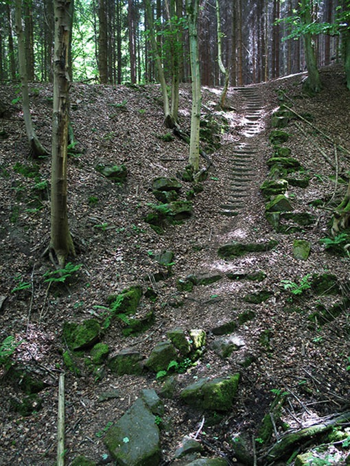 Treppe im Wald