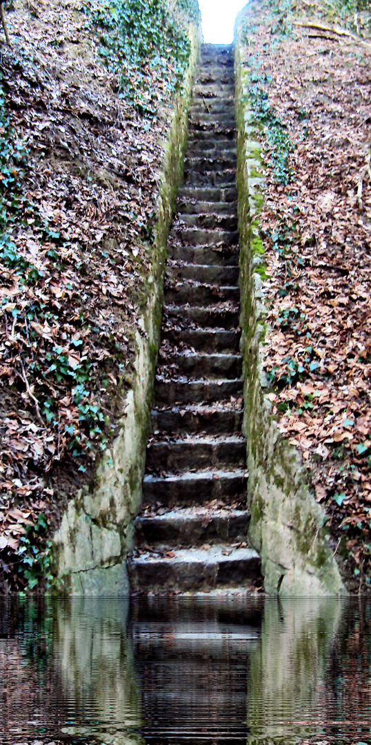 Treppe im Weinberg (Alter Hohlweg zwischen Seefelden und Betberg)