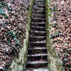 Treppe im Weinberg (Alter Hohlweg zwischen Seefelden und Betberg)