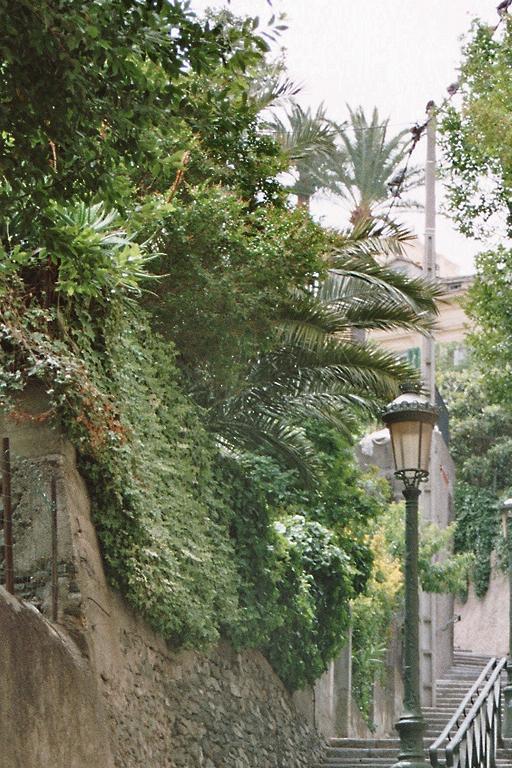 treppe in bastia