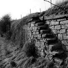 Treppe in einer Weinberg-Steillage