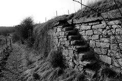 Treppe in einer Weinberg-Steillage