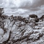 treppe in freier natur