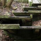 Treppe in Planten und Bloom