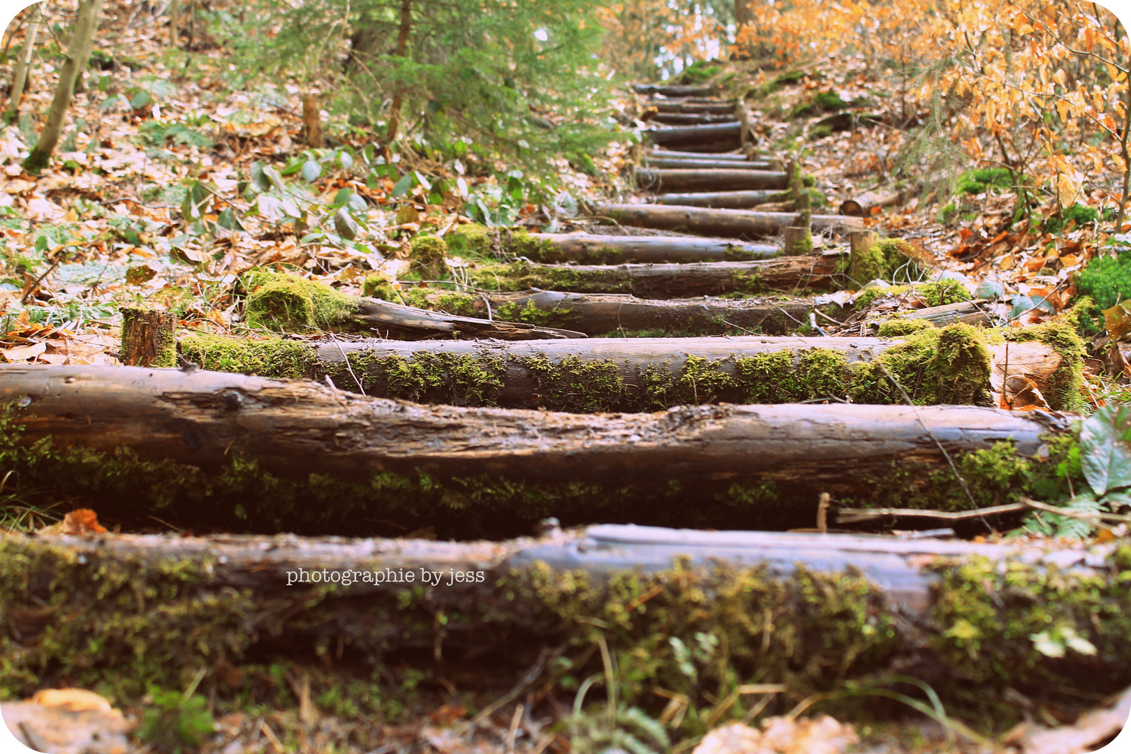 Treppe ins Glück ?