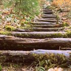 Treppe ins Glück ?