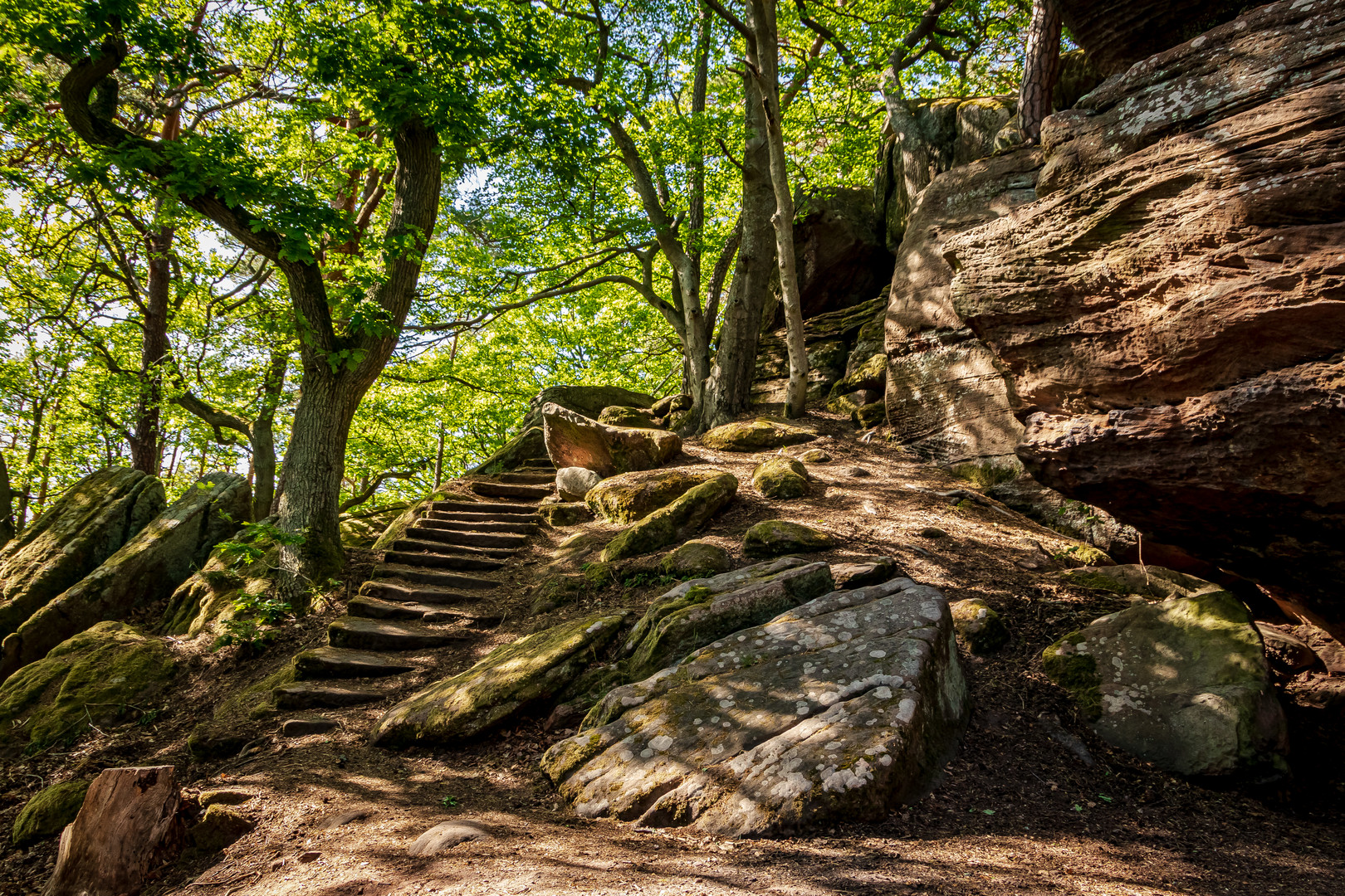 Treppe ins Grüne