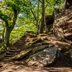 Treppe ins Grüne