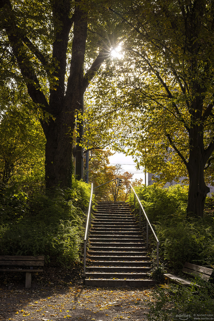 Treppe ins Licht