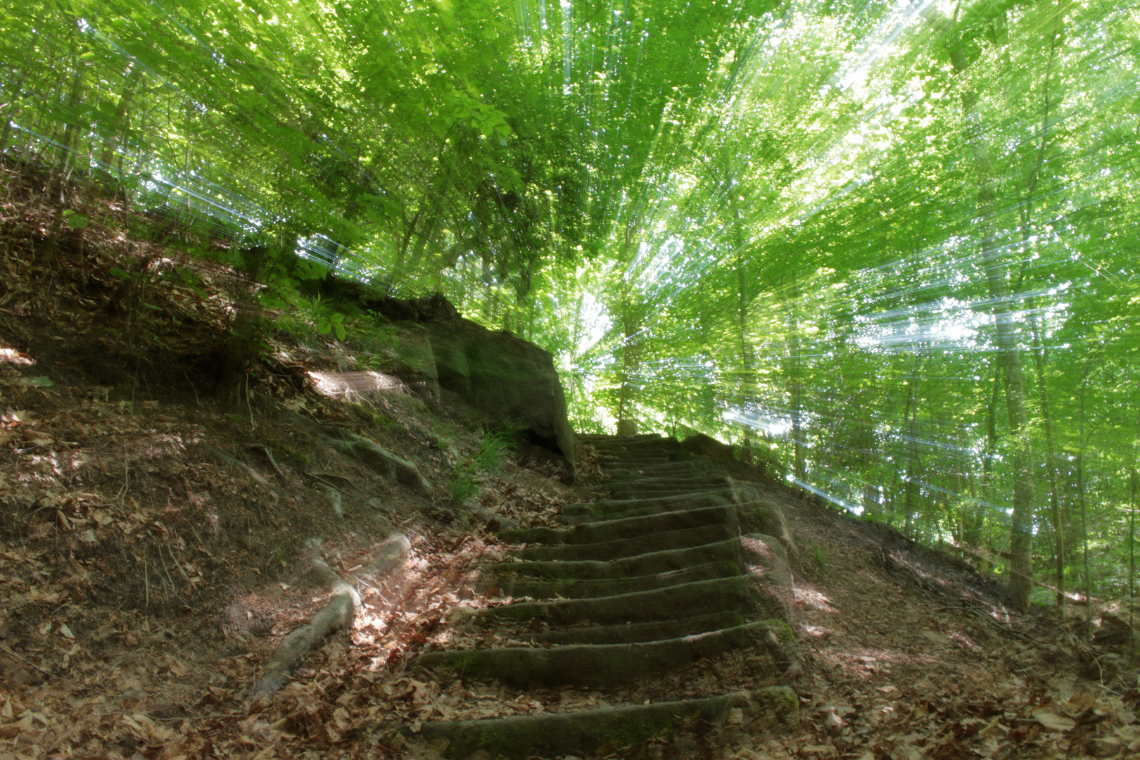 Treppe in´s Licht.