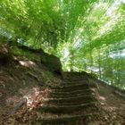 Treppe in´s Licht.