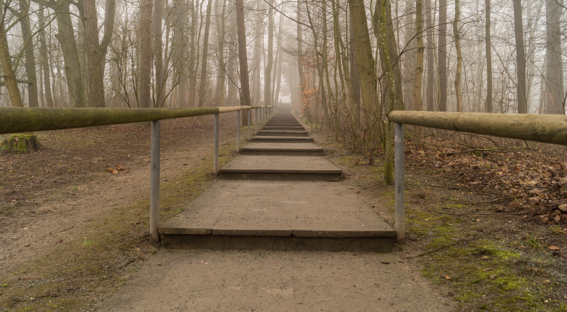 Treppe ins Licht