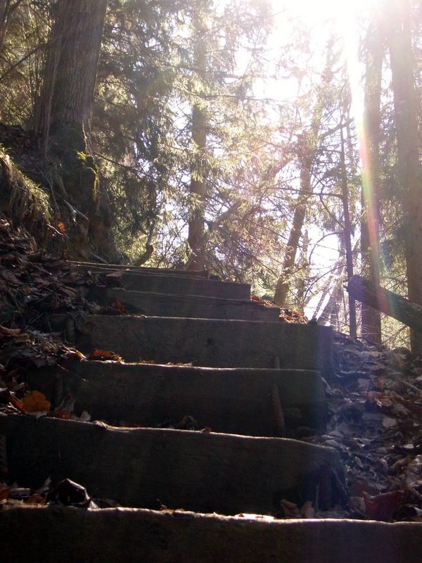 Treppe ins Licht