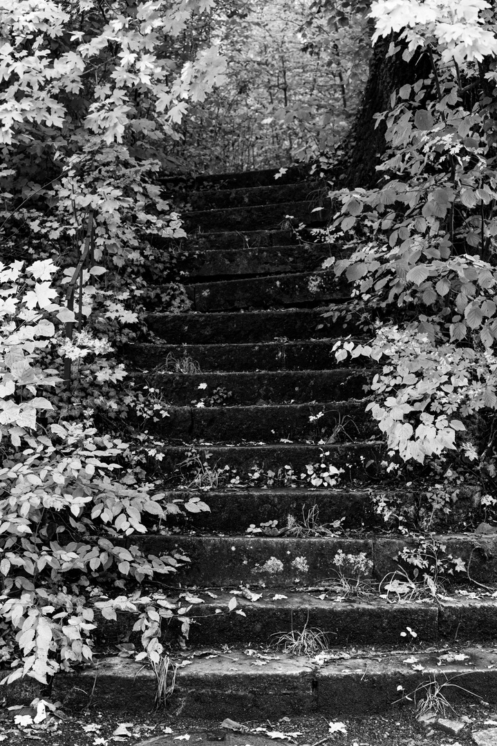 Treppe ins Nichts