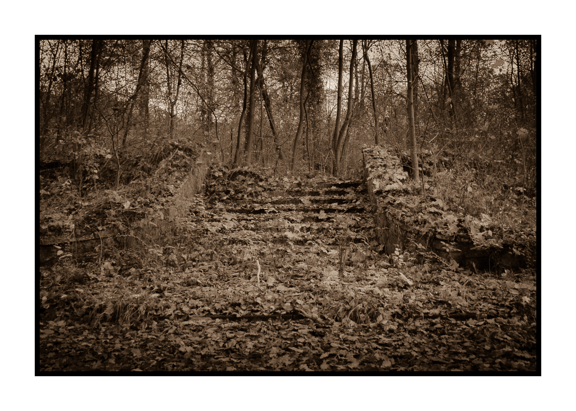 Treppe ins Nirgendwo - KZ-Außenlager Lübberstedt-Biloh