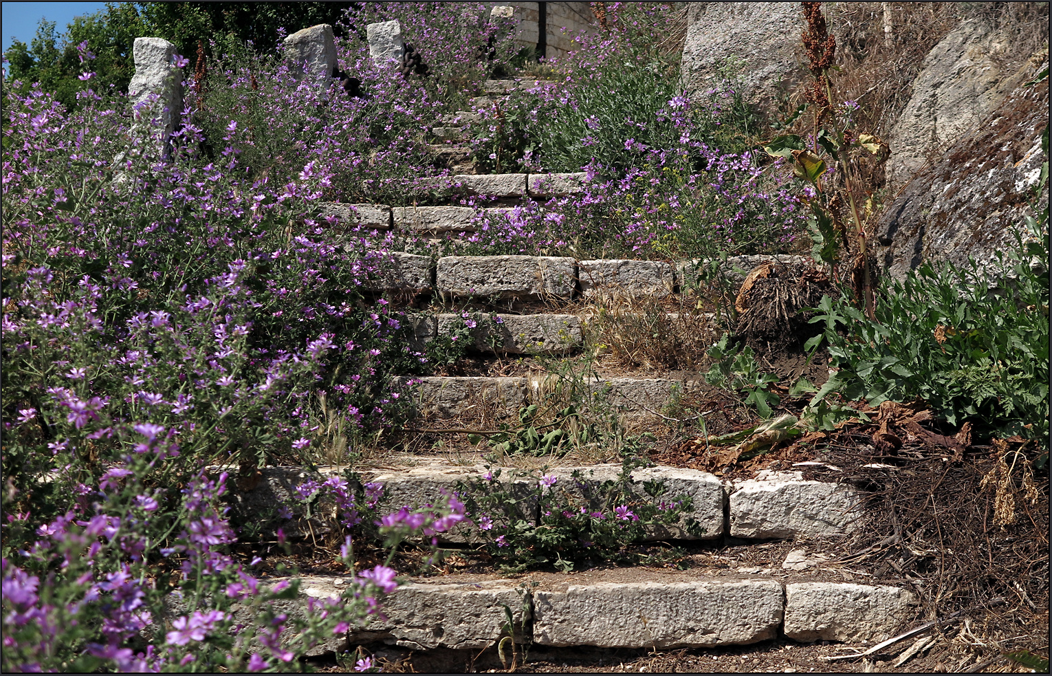 Treppe - Kaliakra - Bulgarien