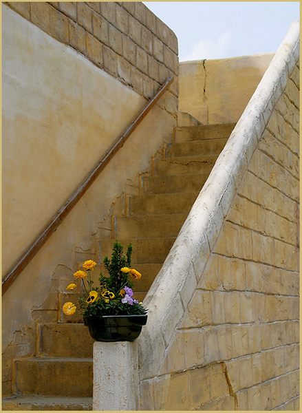 Treppe mit Blumen
