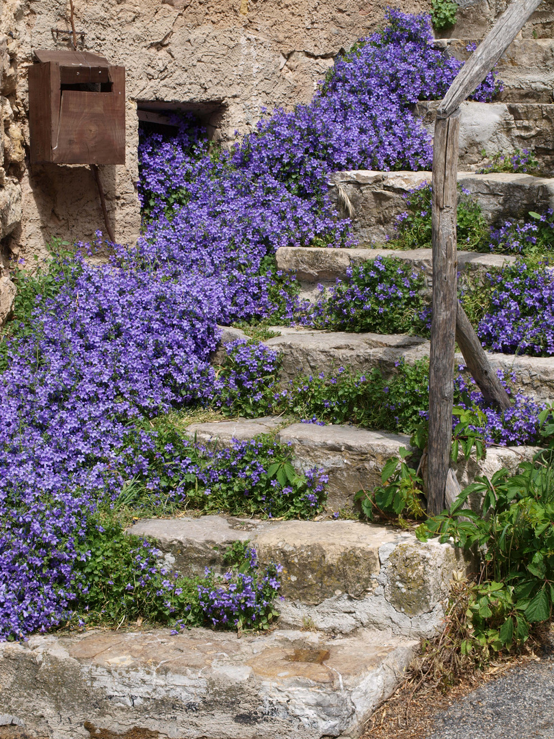 Treppe mit Blumen in einem Provencestädchen