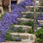 Treppe mit Blumen in einem Provencestädchen