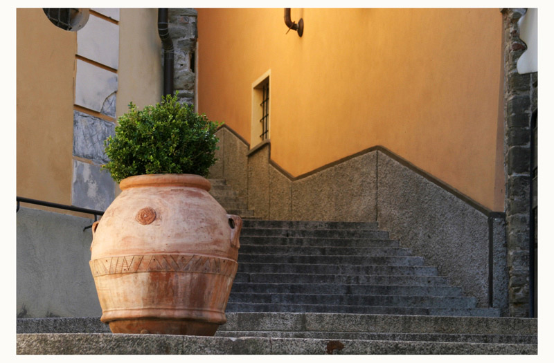 Treppe mit Blumentopf