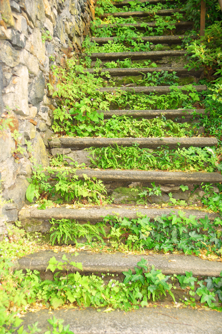 Treppe mit Hauch von Natur