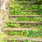 Treppe mit Hauch von Natur