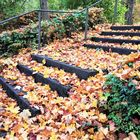 Treppe mit Herbstlaub