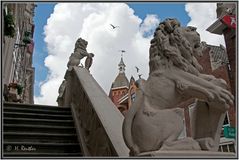 Treppe mit Löwenskulpturen vor dem Bürgerhaus in Alkmaar / Holland